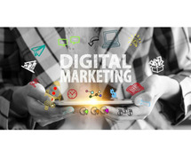 Tailored Digital Marketing Services for B2B Companies