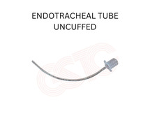 endotracheal tube uncuffed