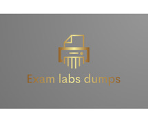 How to Strategically Use Exam Labs Dumps for Exam Day