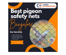 Best Pigeon Safety Nets in Bangalore