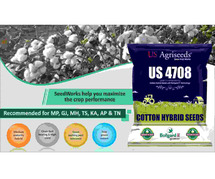 Cotton Seeds Company