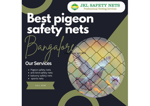 Best Pigeon Safety Nets in Bangalore