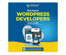 Hire Expert WordPress Developers From India