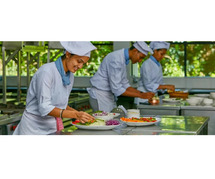 Culinary Arts Degree Programs In Rajasthan