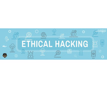 Ethical hacking training