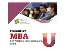 Best Executive MBA for Working Professionals in India