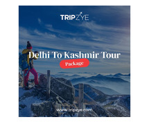 delhi to kashmir tour packages for couple