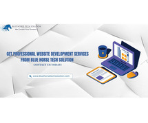 Get Professional Website Development Services from Blue Horse Tech Solution | Contact Us Today!