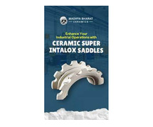 Mandsaur Ceramic Ultra, Alumina Balls & Grid Block Suppliers