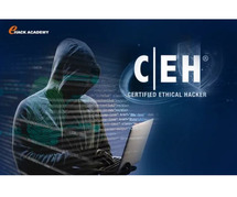 Best Certified Ethical Hacker Training Online in Bangalore - Ehackacademy