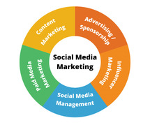 Social Media Marketing Agency in Noida | Madzenia