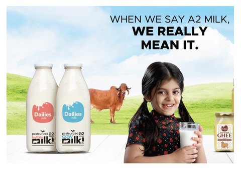 Savor the Natural Essence of Rajkot's a2 Desi Cow Milk