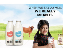 Savor the Natural Essence of Rajkot's a2 Desi Cow Milk