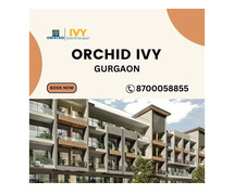 Orchid IVY Gurgaon