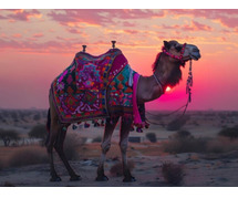 Rajasthan Forts and Palaces Tour Packages