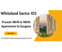 Whiteland Sector 103 Dwarka Expressway Gurugram