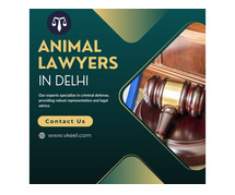 Animal Lawyers in Delhi