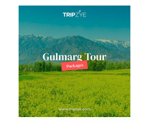 kashmir gulmarg tour