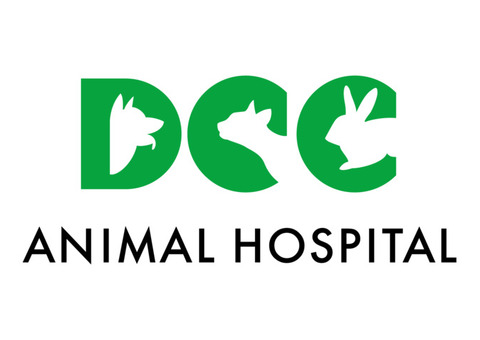 Best Dog Hospital in Delhi NCR | DCC Animal Hospital