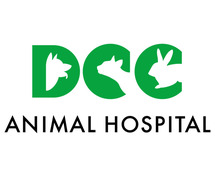 Best Dog Hospital in Delhi NCR | DCC Animal Hospital