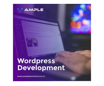 custom wordpress theme development