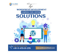 Top WordPress Development Company for Custom Solutions