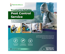 Effective Rodent Control Services in Bhubaneswar, Odisha