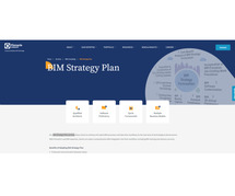 BIM strategy plan