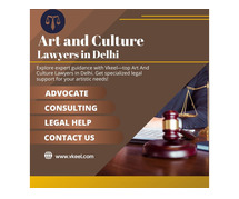 Art And Culture Lawyers in Delhi