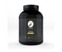 Buy Plant-Based Protein Powders for a Healthy Lifestyle | Whole Nutrition