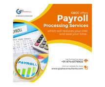 Payroll Processing Services in Delhi