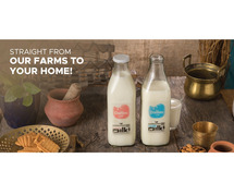 Revive your well-being with Gir a2 Milk in Rajkot