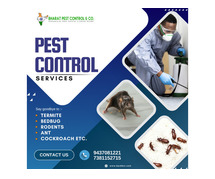 Termite Control Service in Bhubaneswar, Odisha