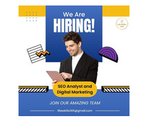 SEO Analyst And Digital Marketing