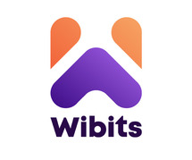 Elevate Your Brand with Wibits Web Solutions