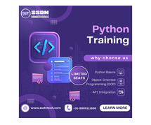 python language course in chicago