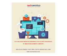 Cutting-edge web solution through web development company in Noida