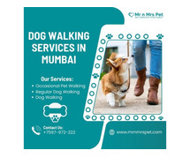 The Best Dog Walking Services in Mumbai