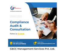 Audit And Consulting Services Delhi