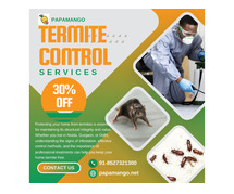 Keep your home termite-free with papamngo