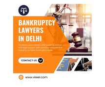 Bankruptcy Lawyers in Delhi