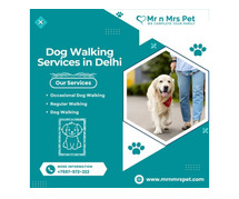 The Best Dog Walking Services in Delhi