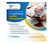 Compliance Audit & Consultation Delhi