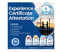 An essential Guide to Experience certificate attestation