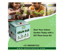 Start Your Indoor Garden Today with a DIY Plant Grow Kit