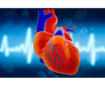 best cardiology hospitals south Delhi