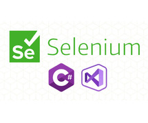 Selenium Training in Chennai