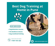 Best Dog Training at Home in Pune