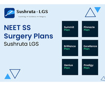 NEET SS Surgical Group Plans |  Sushruta LGS