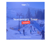 sonmarg tour packages